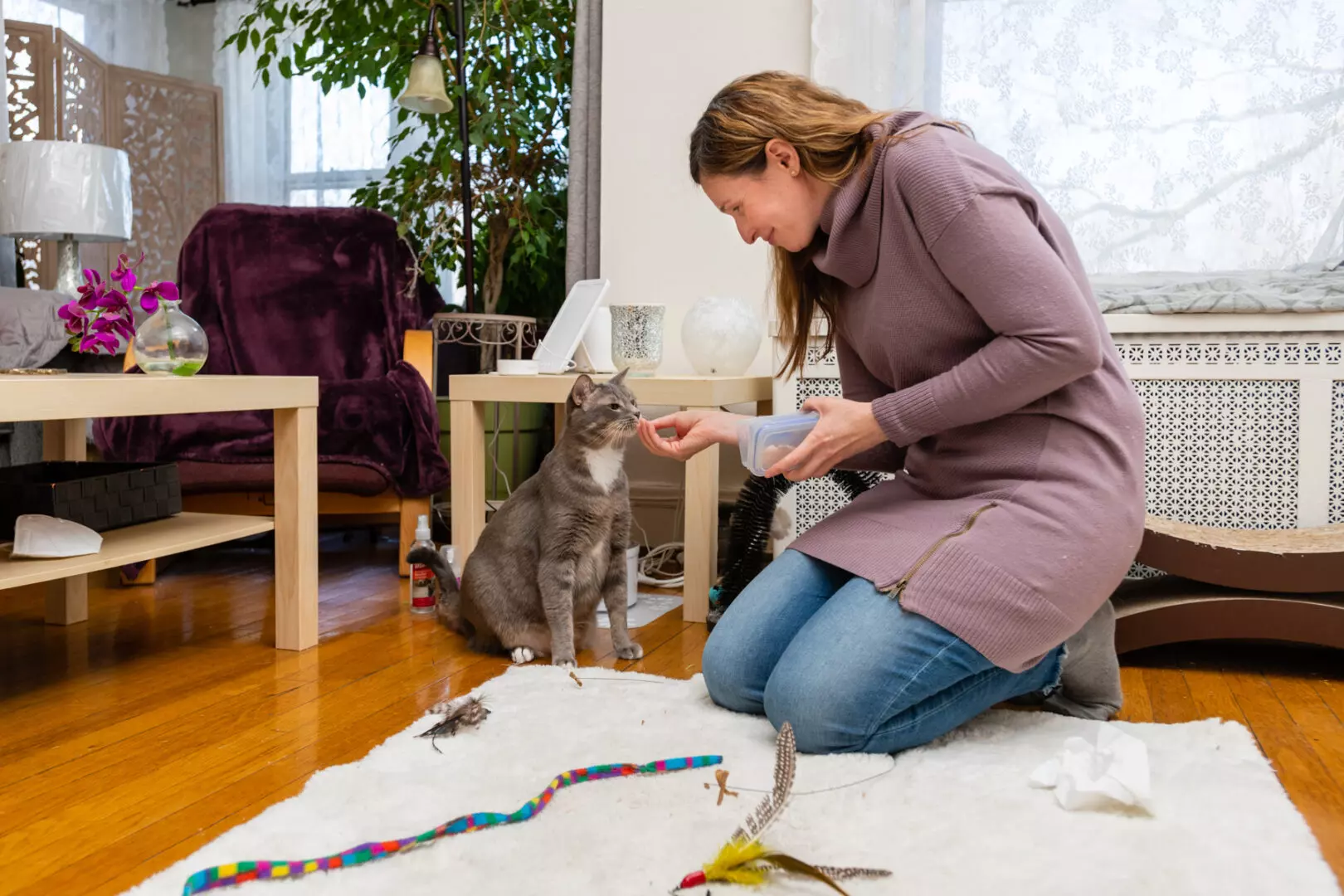 Kitty receiving treats from cat sitter.