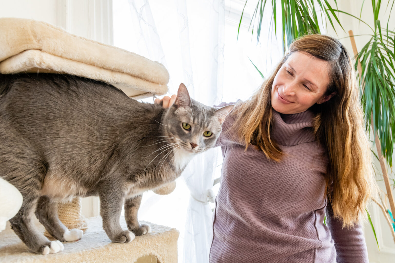 Cat sitter petting kitty.