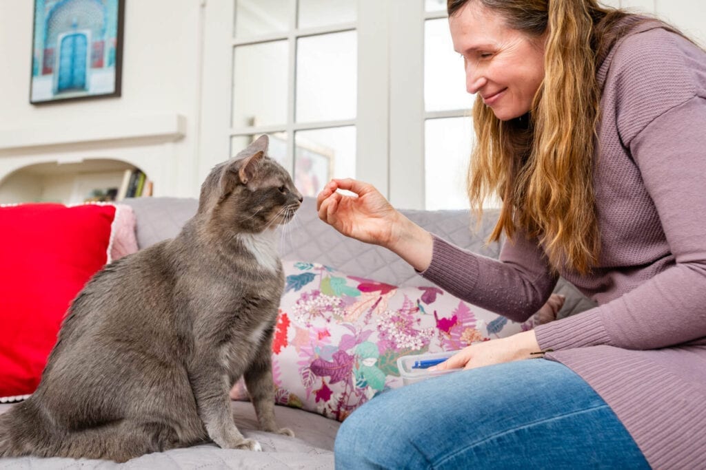 Pet sitter administering medicine to cat.