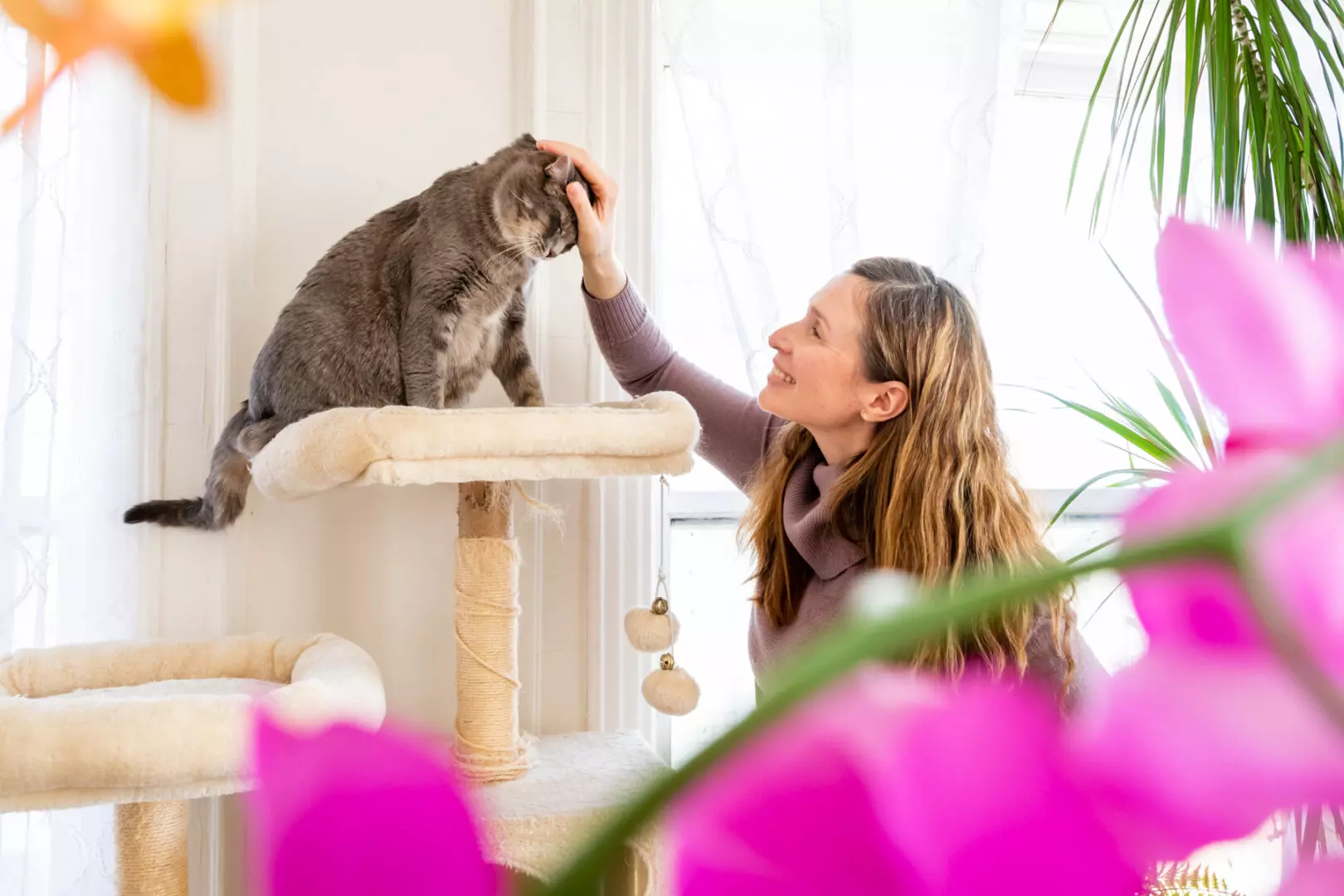 Pet sitter rubbing cat's head.