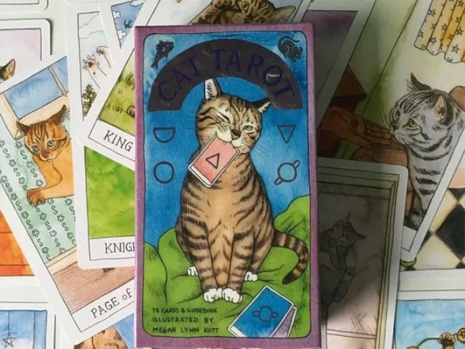 Unique Cat Tarot Cards