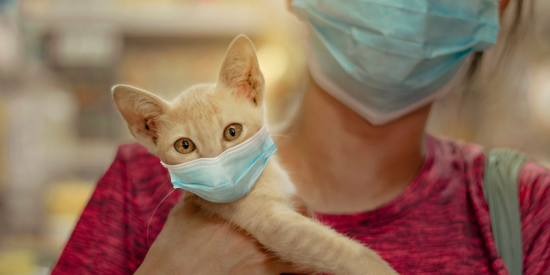 Pet sitter and cat wearing face masks.