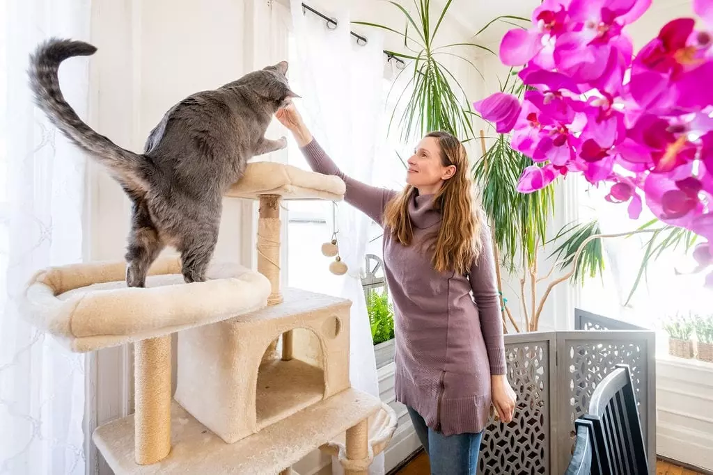 Kitty sitter playing with cat.