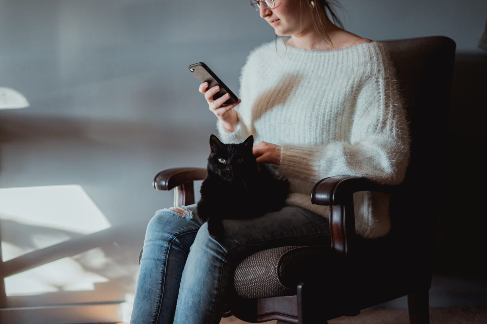 Black cat sitting on a woman's lap.
